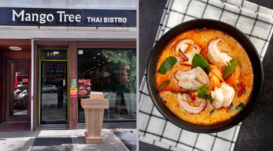 🇹🇭🔥 New York’s Secret Spice: Why Mangotree Thai is the Indian Community’s Favorite Affordable Feast